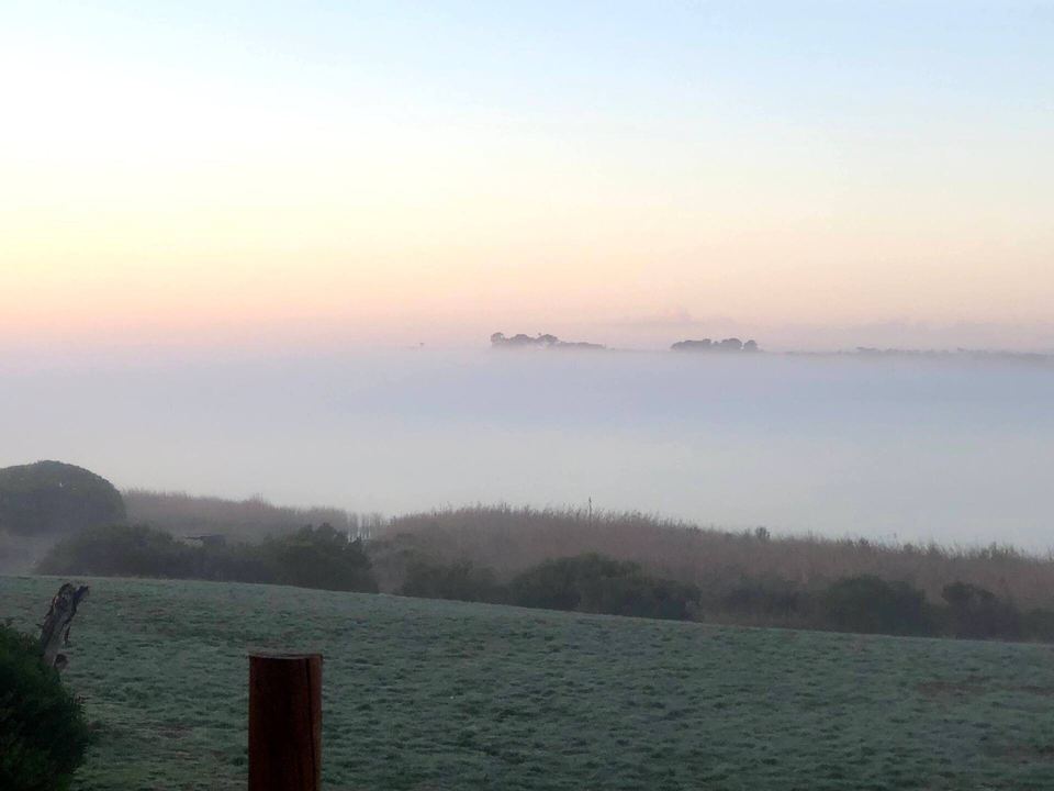 Morning mist over Lake Alexandrina
