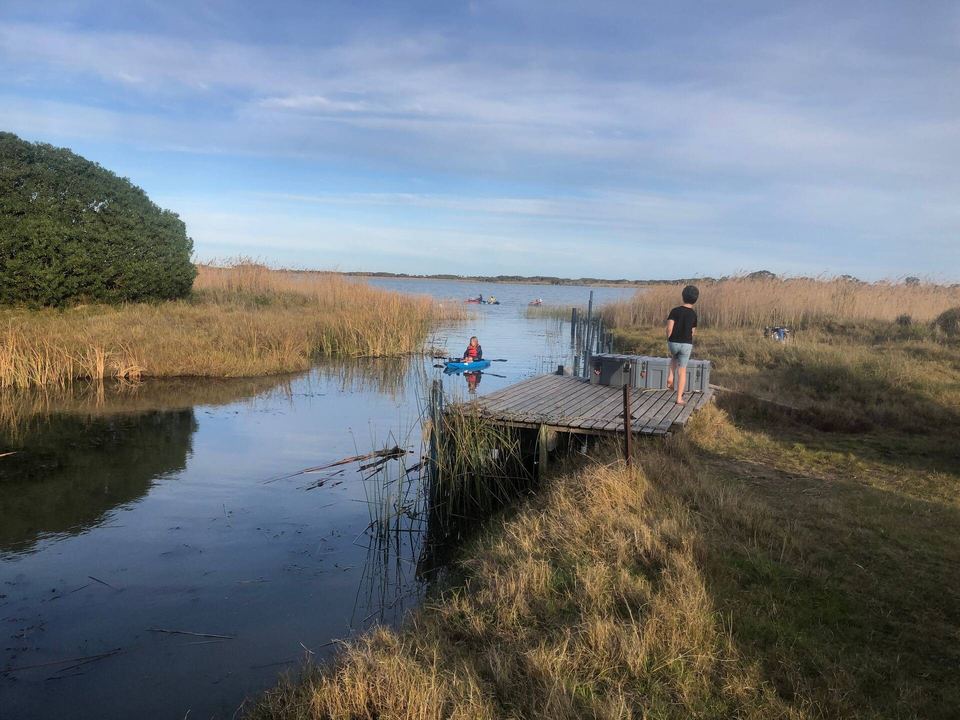 Private jetty among the reeds on Lake Alexandrina